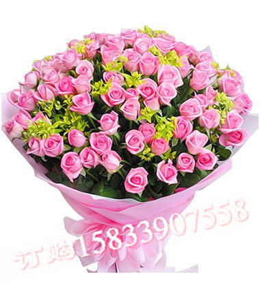 <img src="pic/digi/20125401458_sml.jpg" width="172" height="200" border="0" alt="¡еƷϸ-99֧ҷõ壬ɫ">