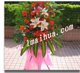 <img src="pic/digi/071004-2_sml.jpg" width="172" height="200" border="0" alt="Ʒϸ-̫ܰٺϡҶ">