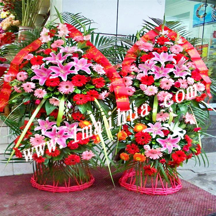 <img src="pic/digi/201481601718_sml.jpg" width="172" height="200" border="0" alt="Ʒϸ-{2}ʣٺϣҶҶȶֻ ">