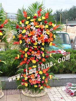 <img src="pic/digi/XH-20_sml.jpg" width="172" height="200" border="0" alt="Ʒϸ-õ塢ջٺϡҶġ">